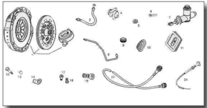 MGB Clutch