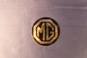(12) MGB AHH9268B ROSTYLE CAP BADGE