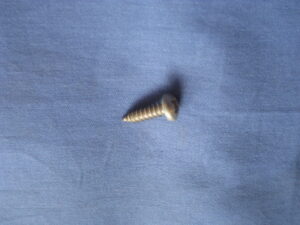 GHF428 MIDGET LATE DOOR PULL SCREW
